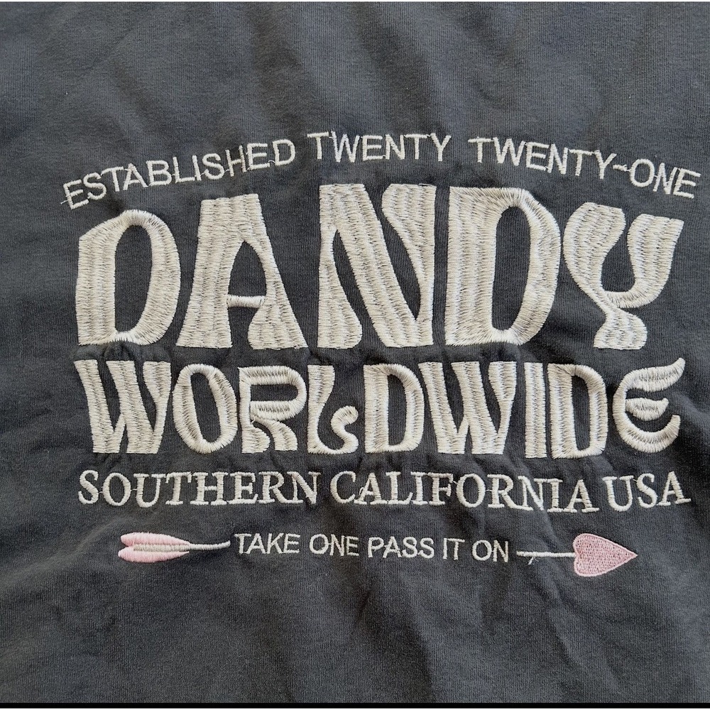 Dandy Worldwide Hoodie Womens Small Brown Pink Heart Sleeve Graphic Streetwear